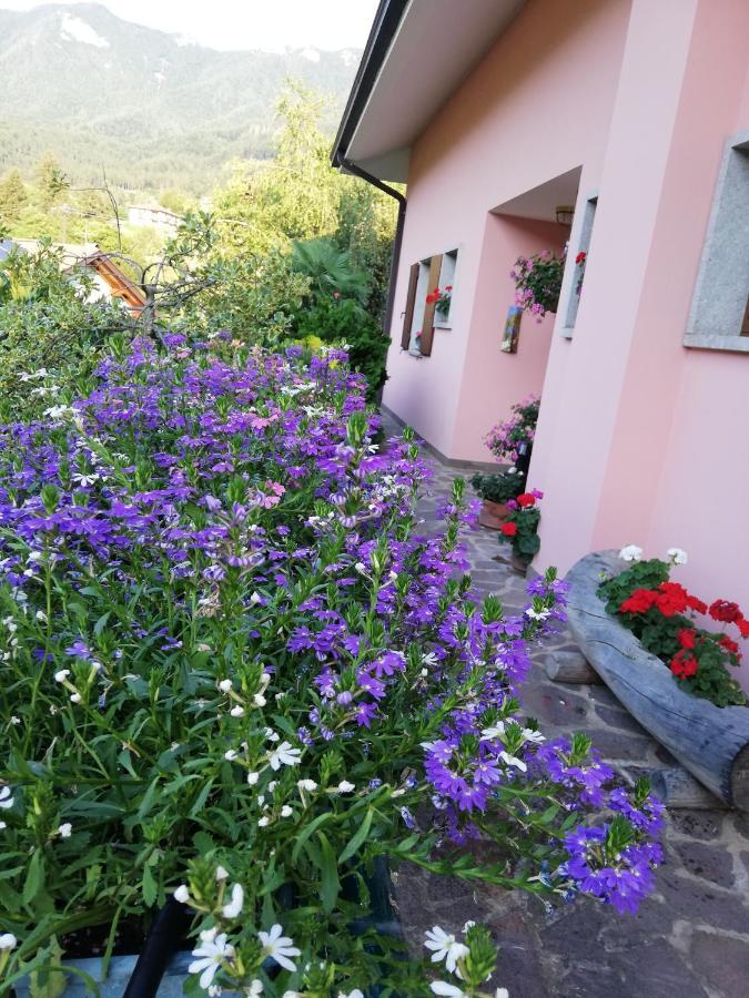 El Campizol Appartement Drena Buitenkant foto