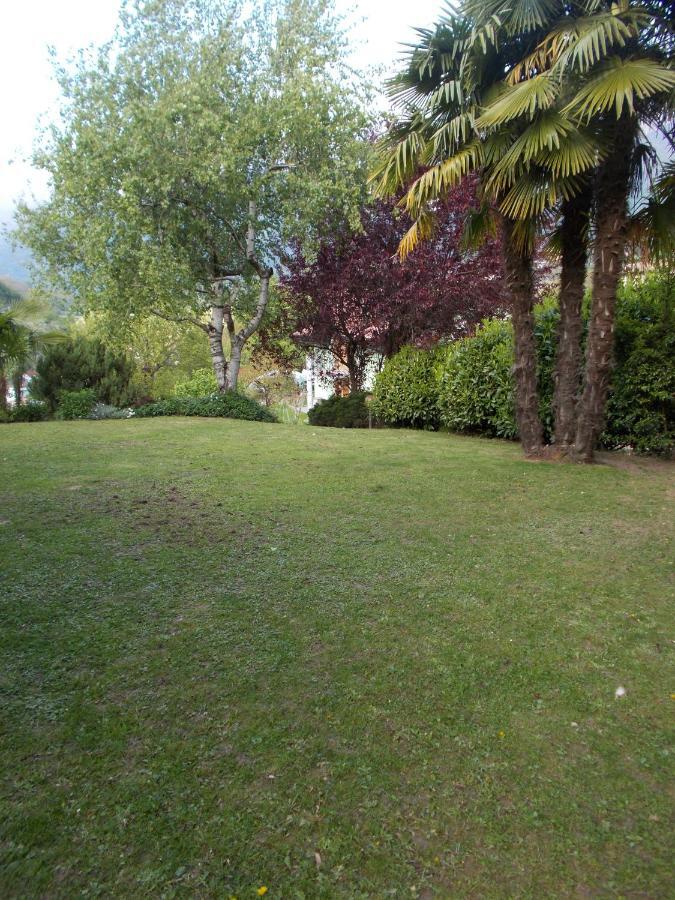 El Campizol Appartement Drena Buitenkant foto